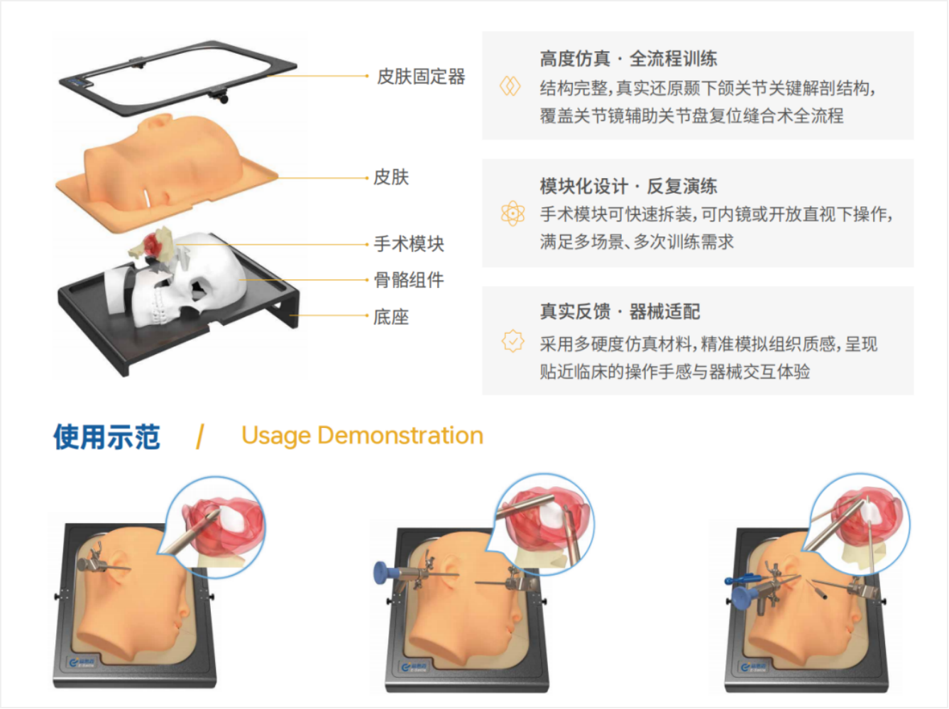 TMJ 仿真教学模型产品展示